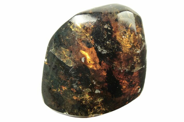 Polished Chiapas Amber ( g) - Mexico #274426